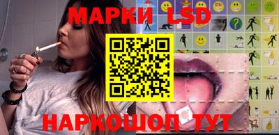 индика Обь
