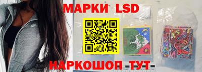 индика Обь