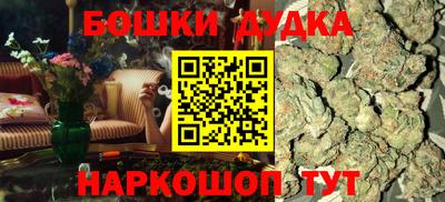индика Обь