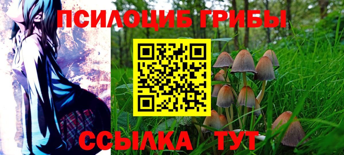 Галлюциногенные грибы Psilocybine cubensis Удомля
